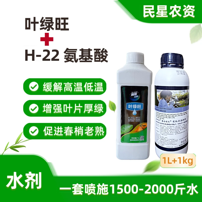 叶绿旺+H22组合套装