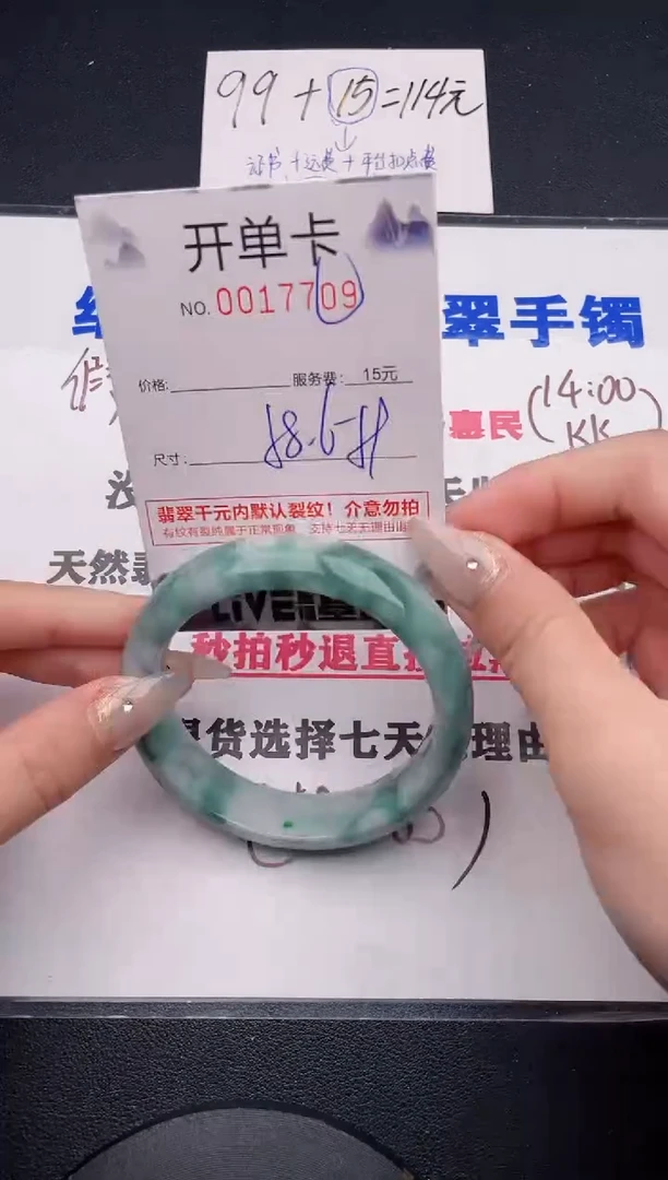 未镶嵌手镯翡翠09