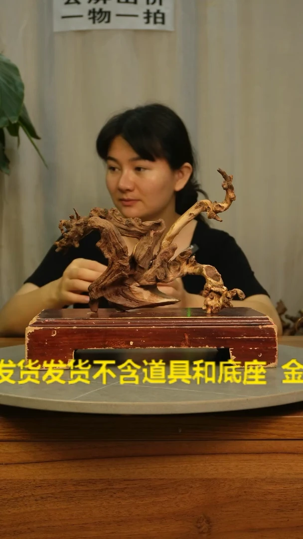 木云南红河金丝红504