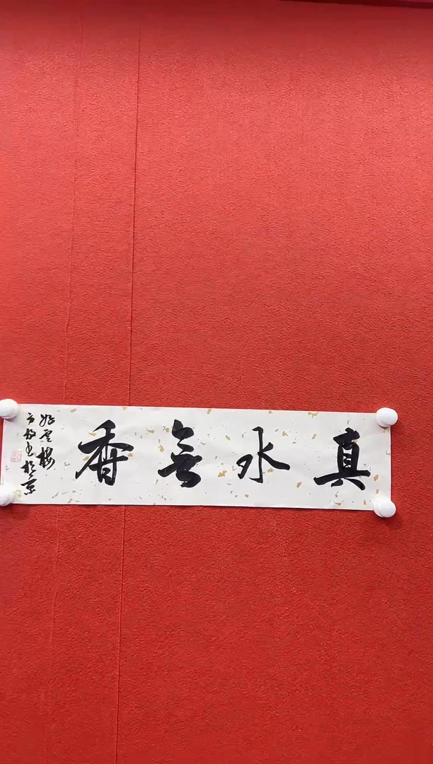 书法复星书画精选作品