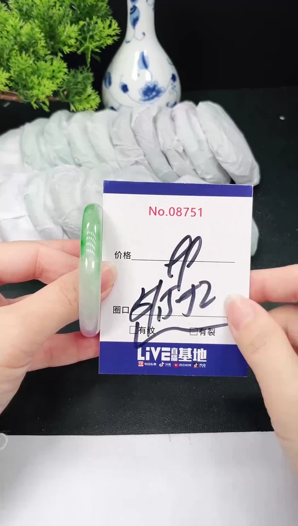 未镶嵌手镯翡翠8751