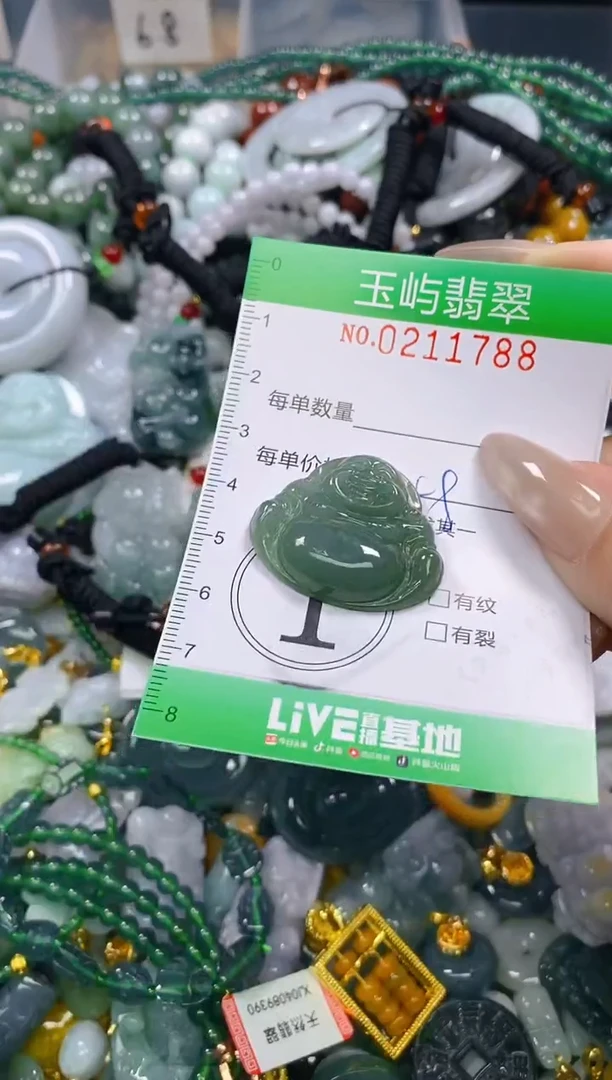 颈饰未镶嵌翡翠闪购0211788