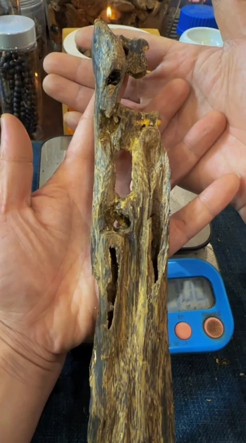 【闪购商品】沉香摆件海南紫棋虫漏块料60克