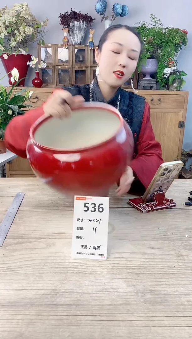 小玩子花盆直播号536
