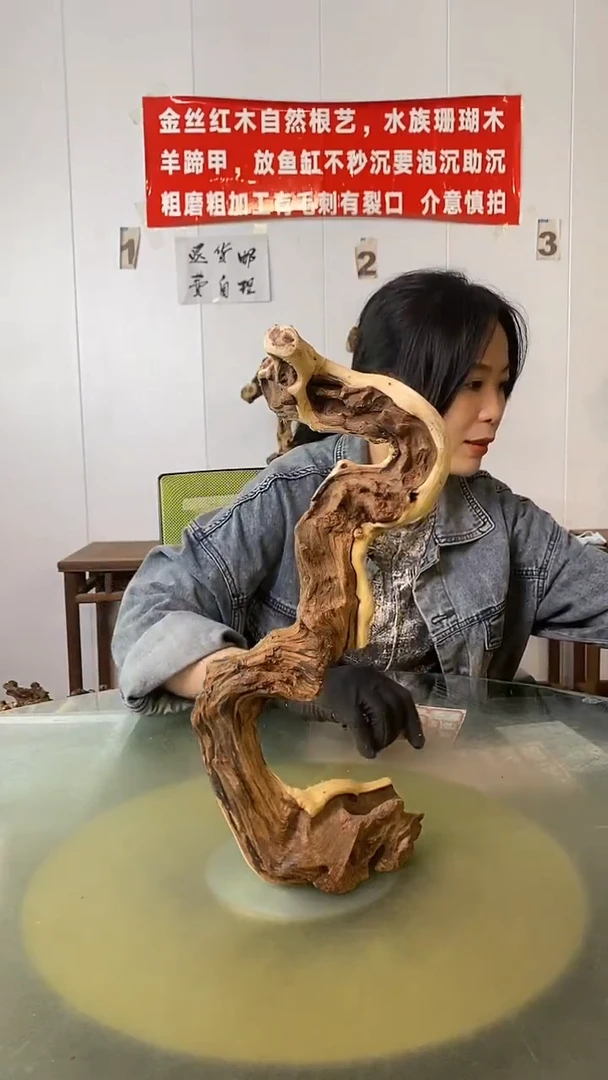 木你***醉金丝红木 羊蹄甲