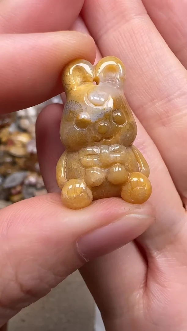 硅化珊瑚（珊瑚玉）未镶嵌颈饰715