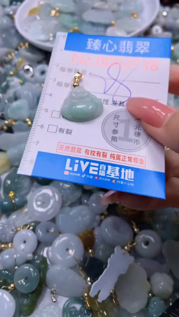翡翠未镶嵌颈饰3738