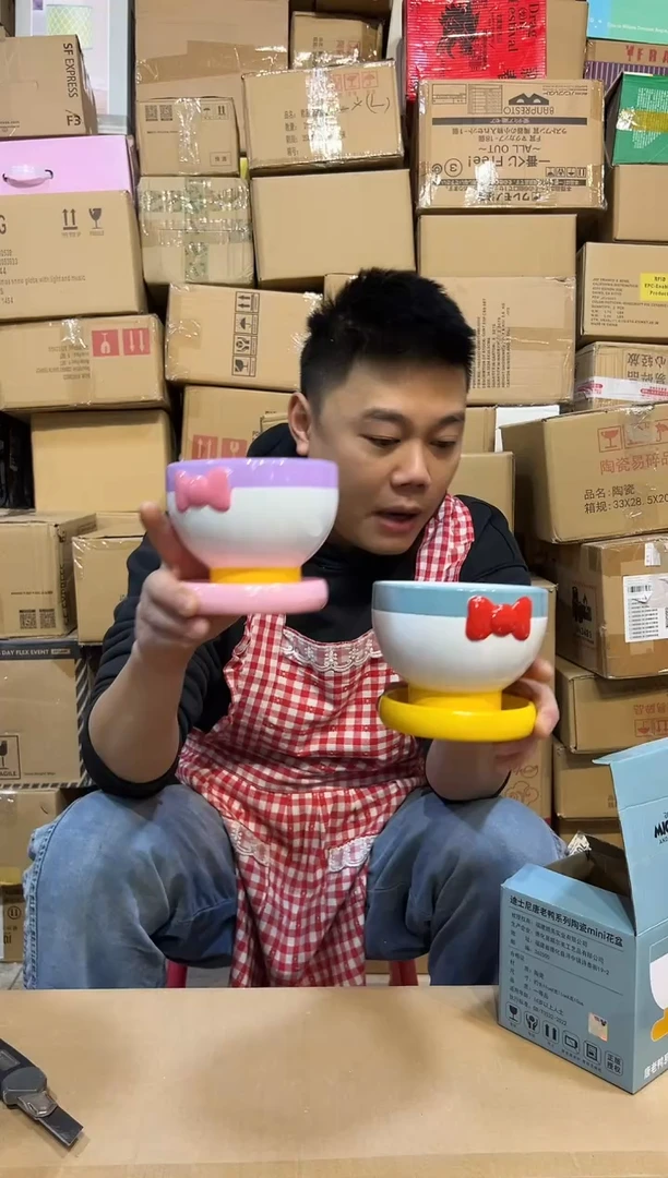 【闪购商品】杯原盒唐老鸭加黛西花盆2件套