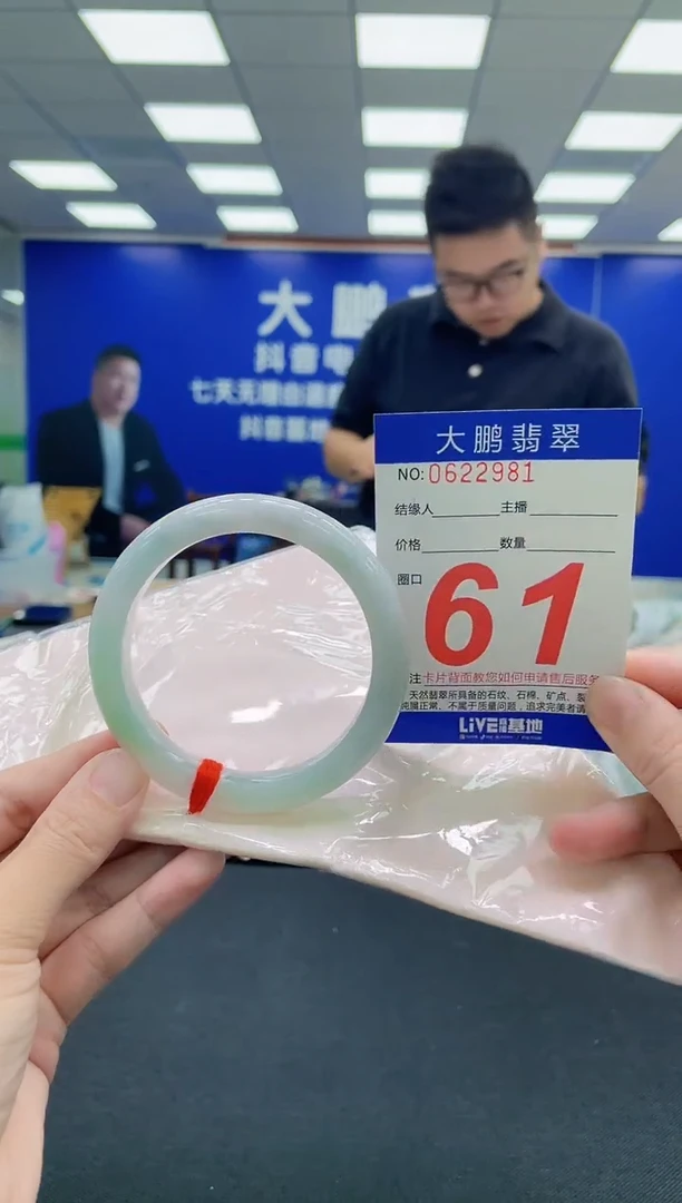 未镶嵌手镯翡翠AAAAAAAAA