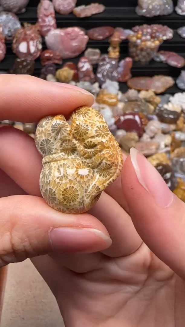 【闪购商品】硅化珊瑚（珊瑚玉）颈饰未镶嵌061