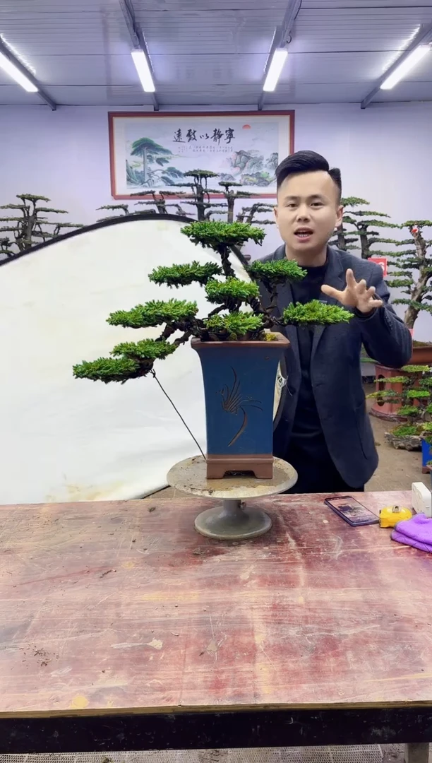 一物一拍，所见即所得