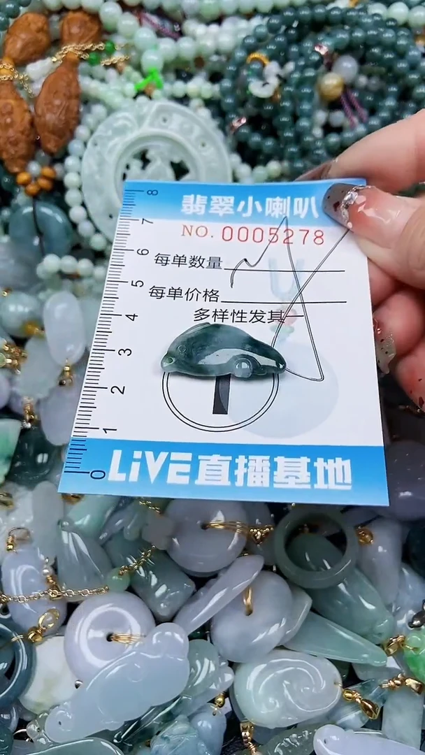 【闪购商品】翡翠颈饰未镶嵌闪购0005278多样性发其一