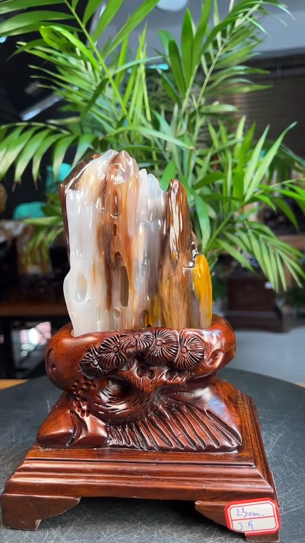 未镶嵌硅化玉（树化玉）珠宝奇石1110（高度23厘米）