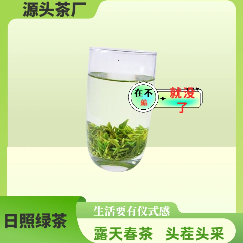 露天春茶山东日照绿茶2025手工明前茶2025新茶高级高山茶高级茶叶