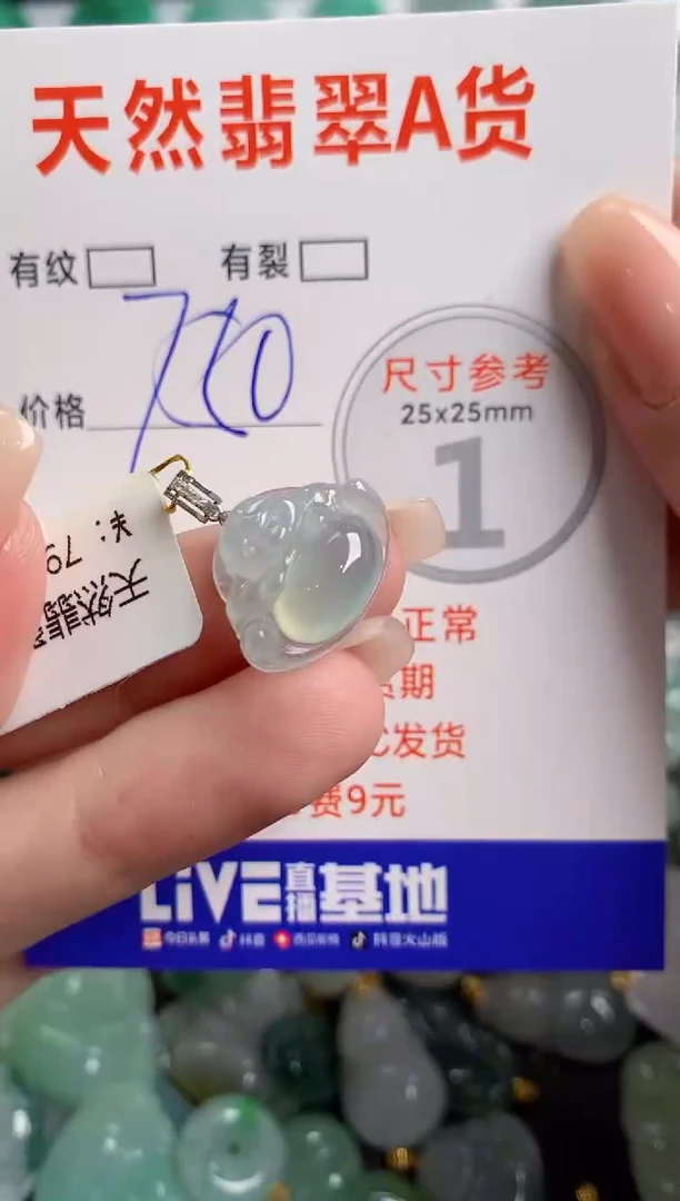 翡翠18K金镶嵌颈饰0195460859