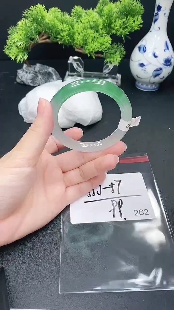 未镶嵌手镯翡翠262