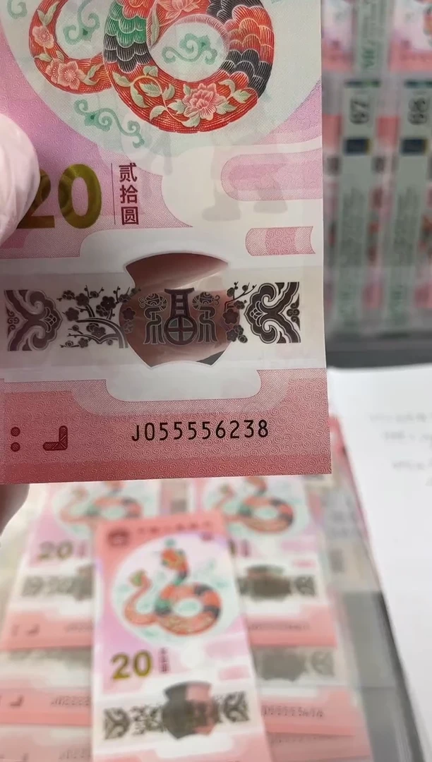 【闪购商品】塑料蛇钞九龙令5个5头尾号6238
