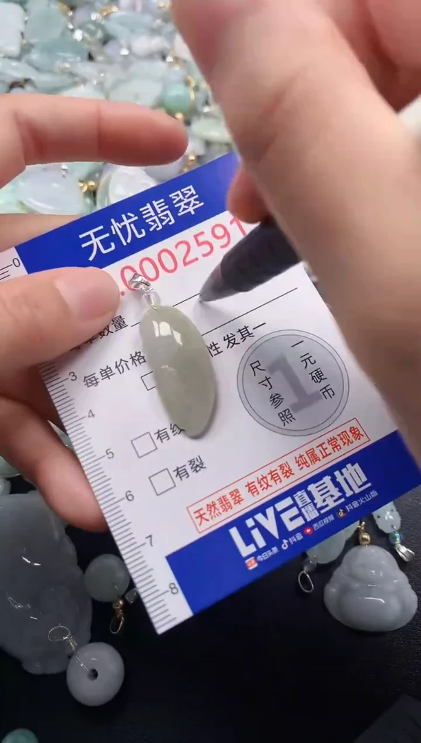 颈饰未镶嵌翡翠2591