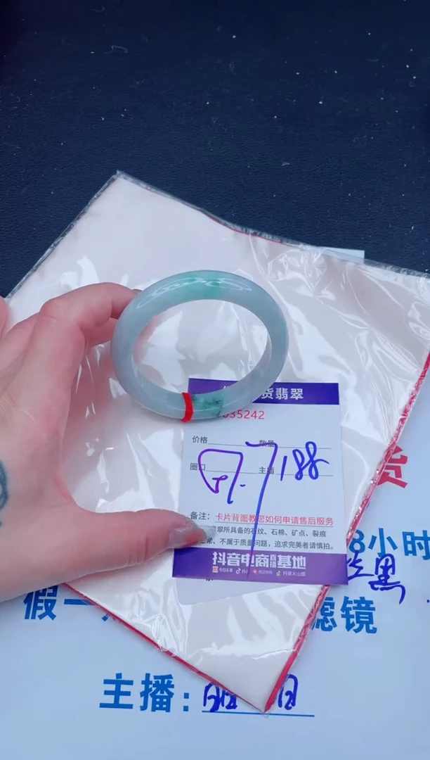 未镶嵌手镯翡翠1