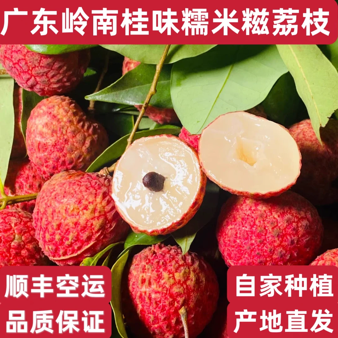 糯米糍荔枝 新鲜当季水果