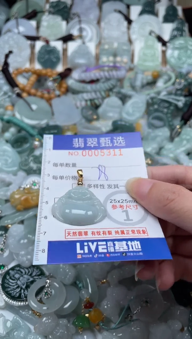 翡翠未镶嵌颈饰00..5311