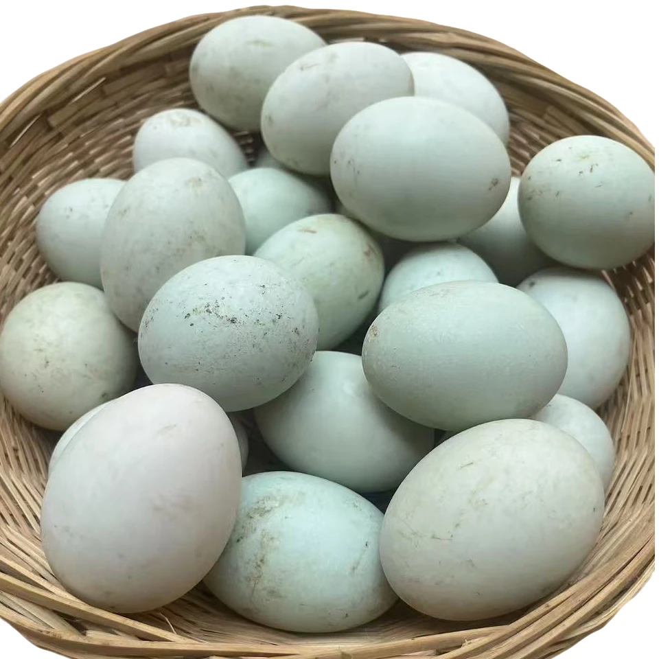 (生的)鸭蛋王 80-87g 散养麻鸭蛋【顺丰包邮】正宗散养土鸭蛋