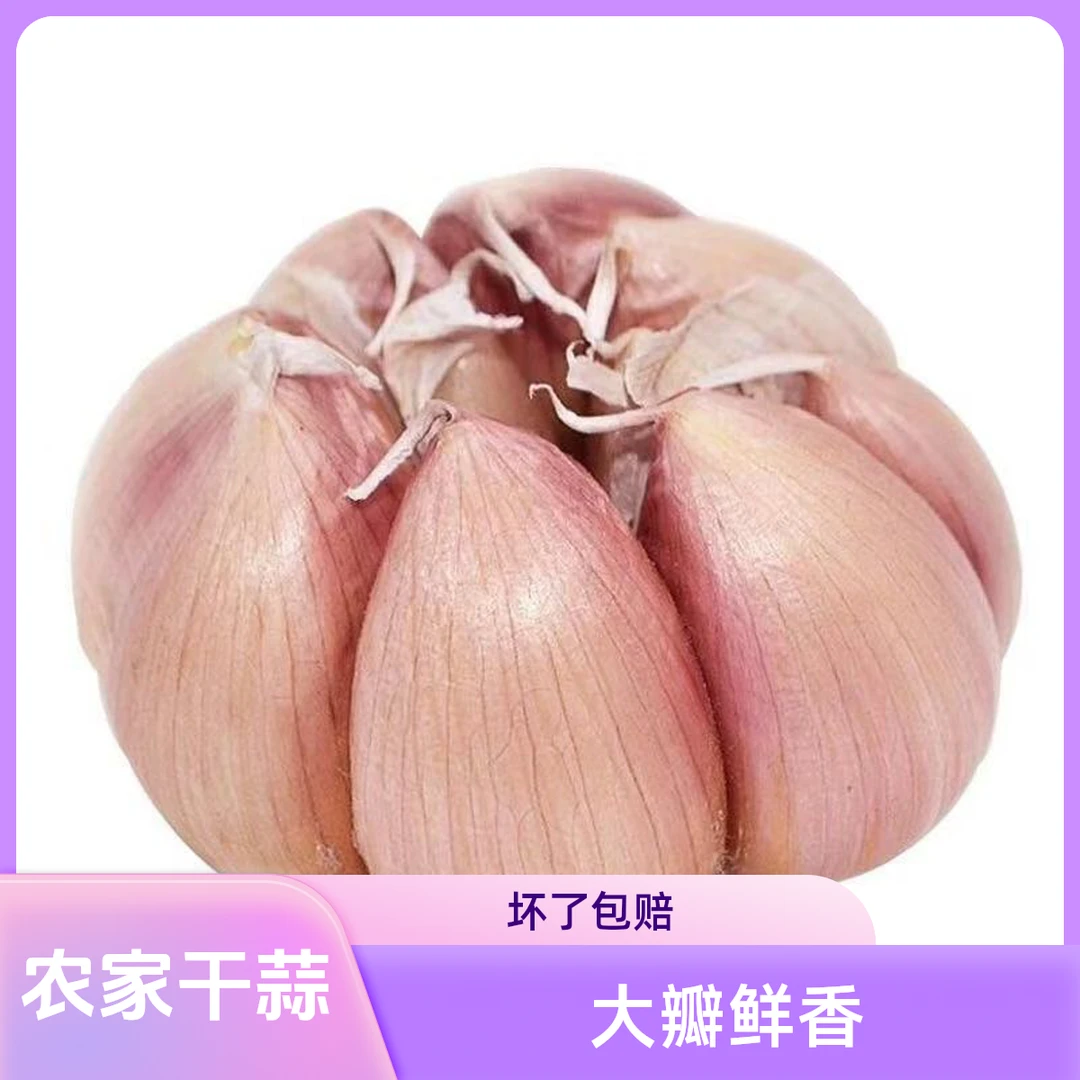 （坏了包赔）干蒜头农家自种紫皮特产2025正宗多瓣大蒜自种精品