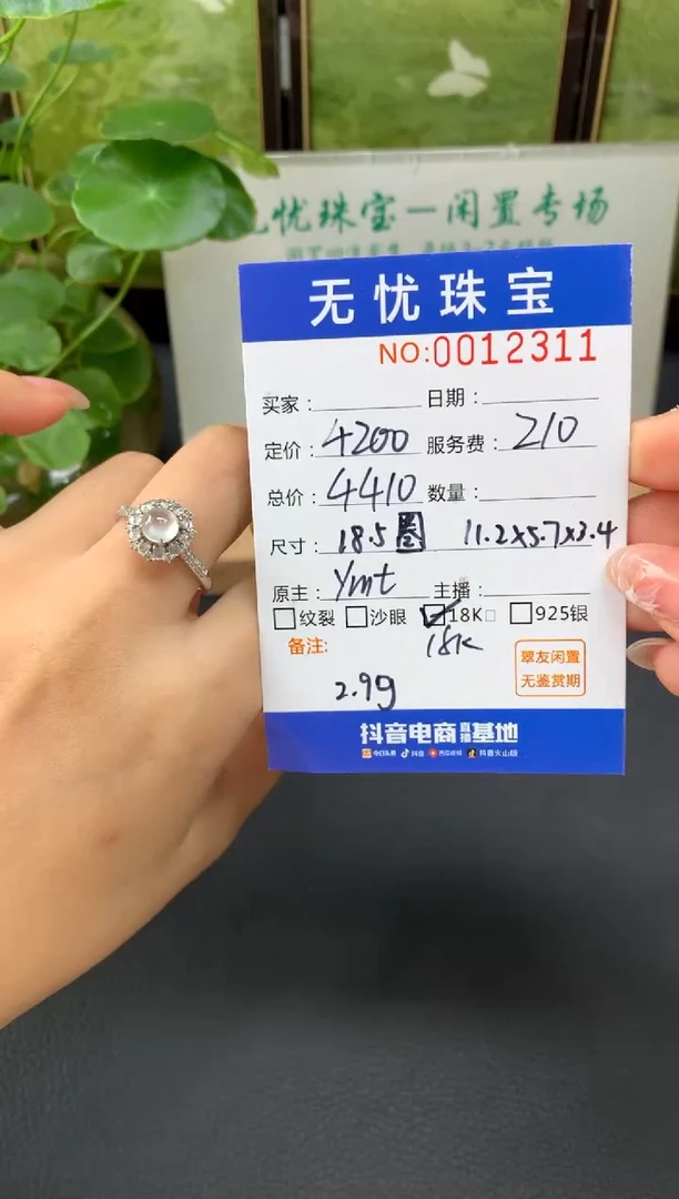 18K金镶嵌定制翡翠H***IE429