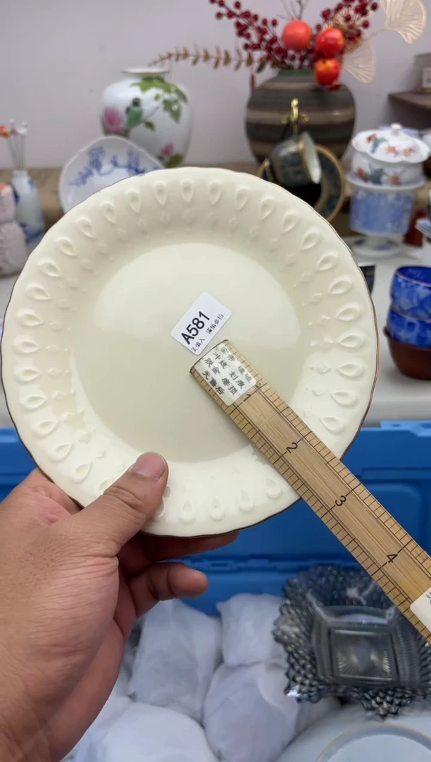 【闪购商品】碟A581...........