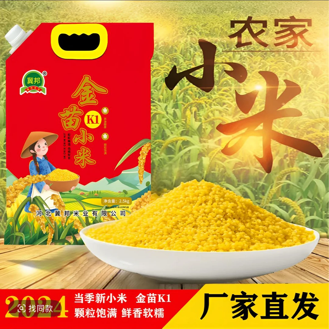 【冀邦】邱县特产 河北正宗黄小米 25年当季小米月子小米农家小米