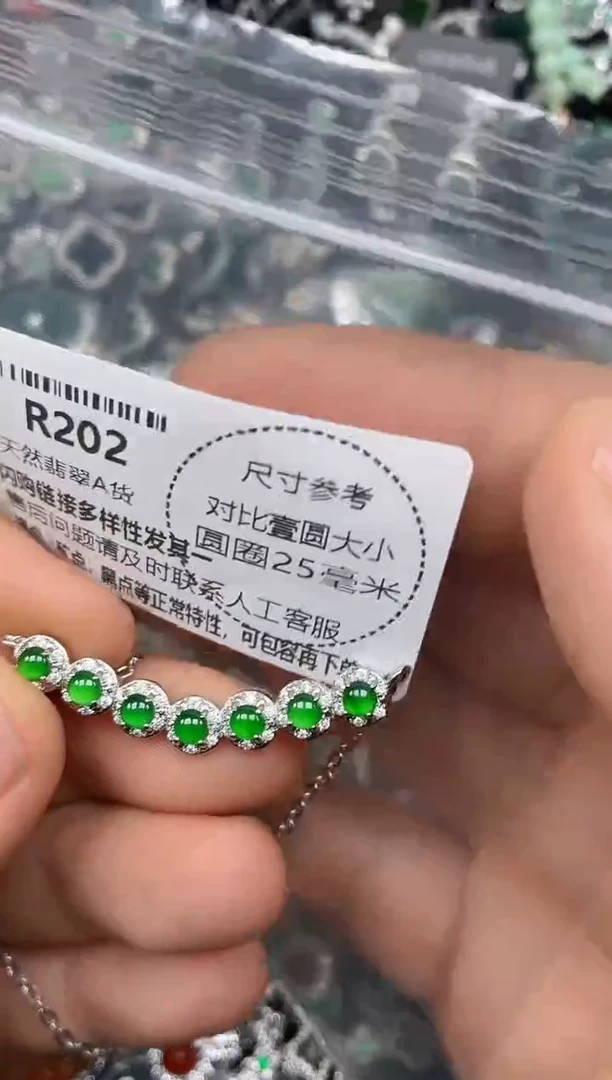 颈饰未镶嵌翡翠R202锁骨链