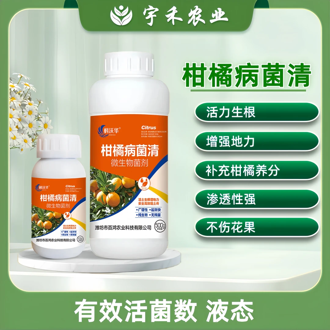 柑橘病菌清复合微生物菌剂柑橘树橙子柚子橘子白粉灰霉微生物菌剂