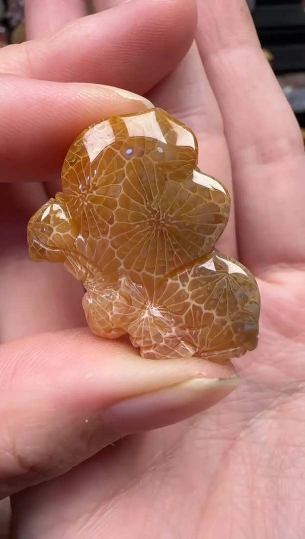 颈饰未镶嵌硅化珊瑚（珊瑚玉）380