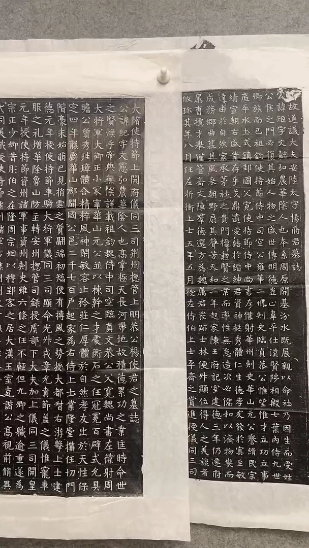 五****堂隋 杨纪墓志拓片