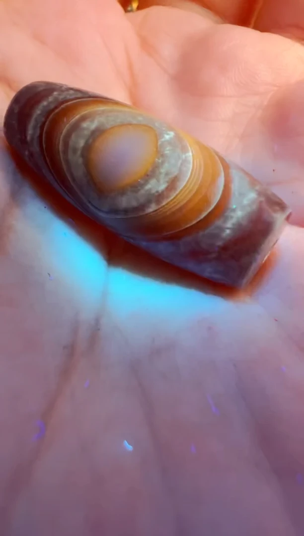 【肖钟出品】东南亚配珠