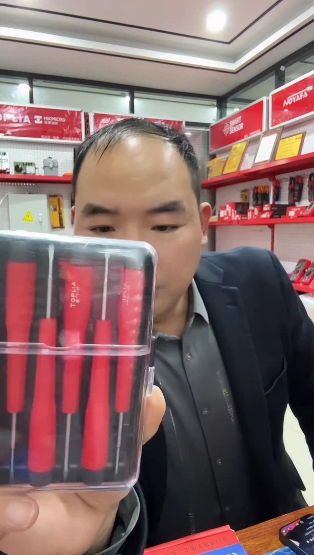 拓利亚SD061004（十）6件精密螺丝批组套