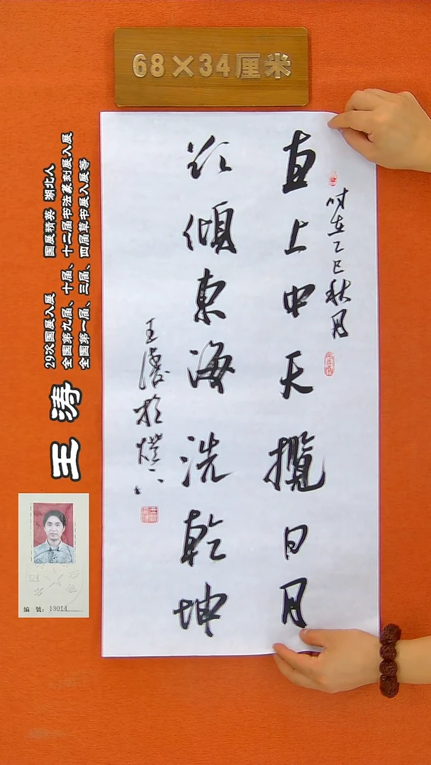 书法8王涛书法作品