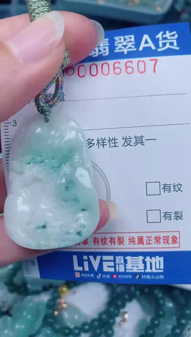 颈饰未镶嵌翡翠00006607