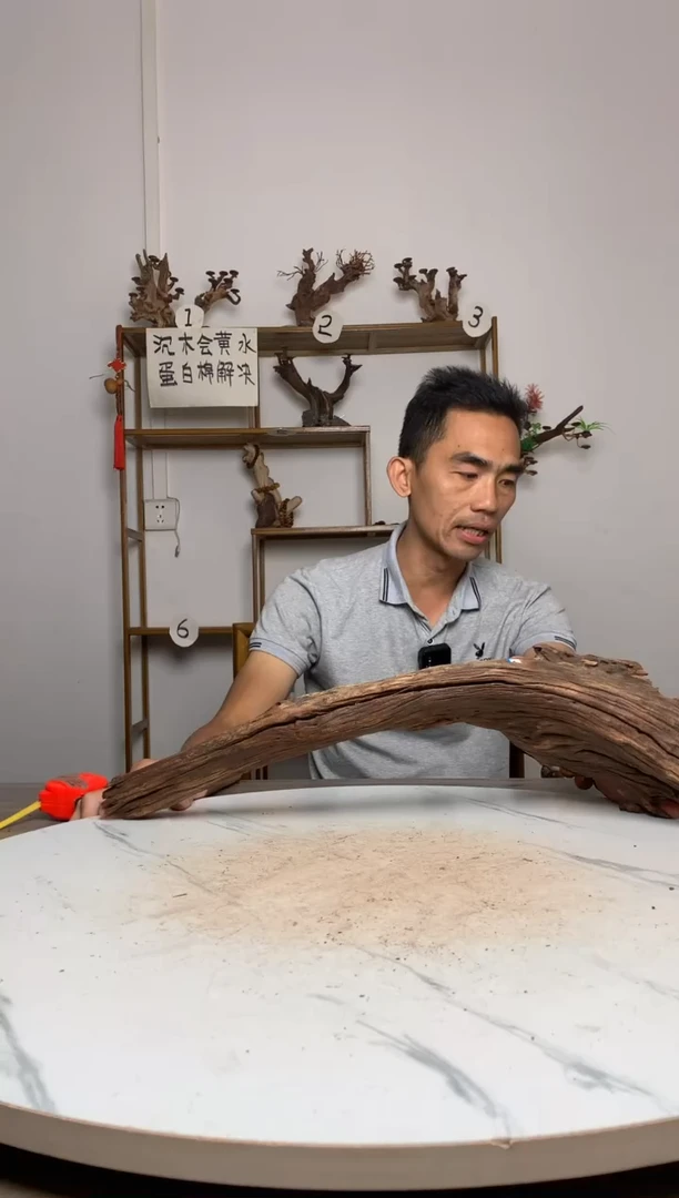 R****恩鱼缸造景沉木摆件