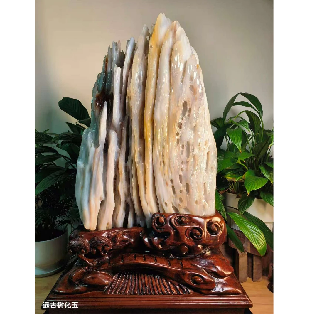 远古树化玉缅甸天然树化玉树化石玉石摆件古树奇石种水料木化玉
