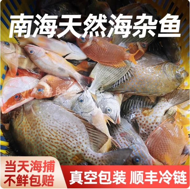 海产拼搭套餐（鱼类混拼链接）渔乐