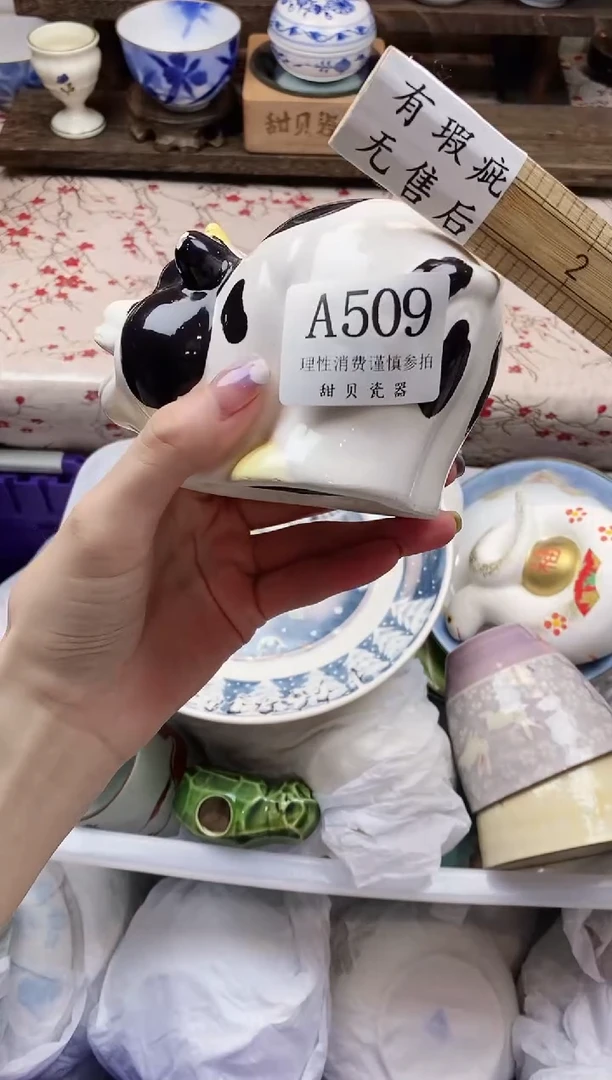瓷片用****5     A509