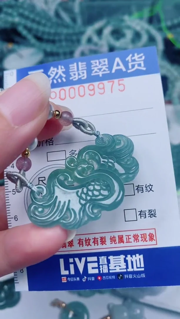 颈饰未镶嵌翡翠00009975