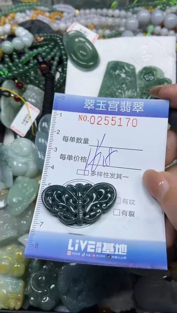 颈饰未镶嵌翡翠闪购C0255170