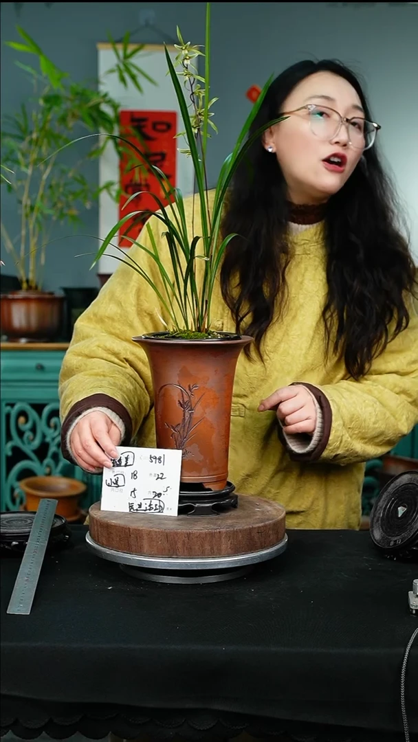 紫砂花盆5981+s颜色不挑