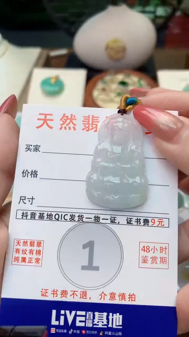 颈饰未镶嵌翡翠天然A货翡翠挂件