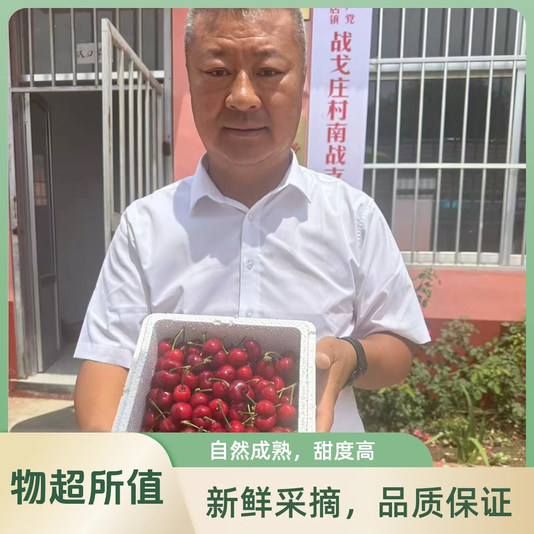 【张书记专属】7山东美早露天大樱桃新鲜现采摘酸甜可口5斤装 3J  新鲜水果美早樱桃