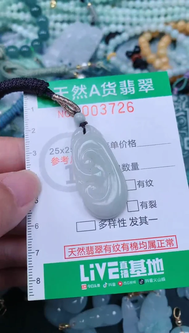 翡翠未镶嵌颈饰.0003726