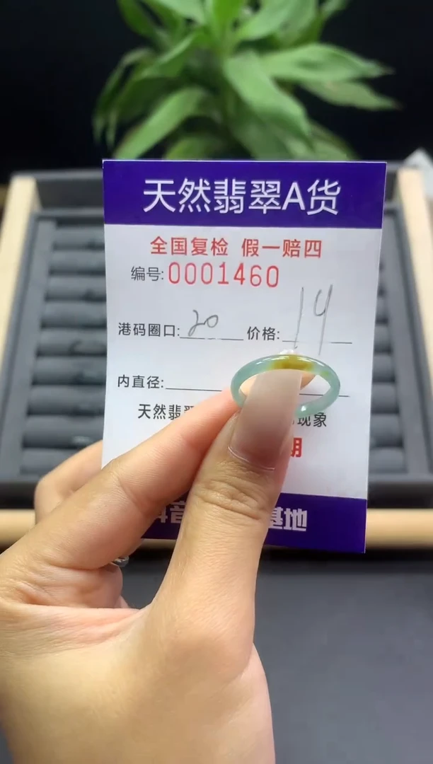 未镶嵌戒指翡翠天然  1460