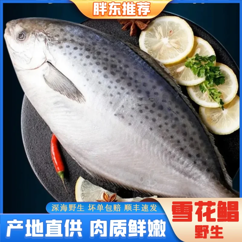 【胖东海鲜】大号南极雪花鲳鱼野生深海鱼新鲜海鲜直播8两-1斤/条